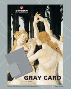  - - 9804004 Cartoncino grigio - Gray Card GC004